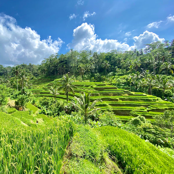 Bali Excursions